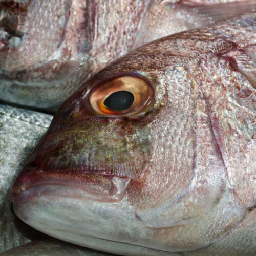 10 best foods to manage hemophilia and its symptoms