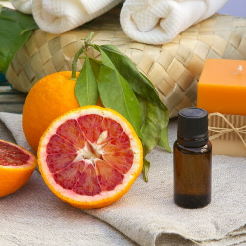 6 home remedies to prevent flea and tick infestation